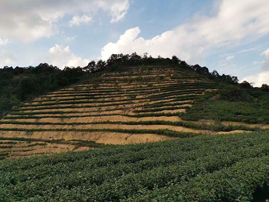 基地风采