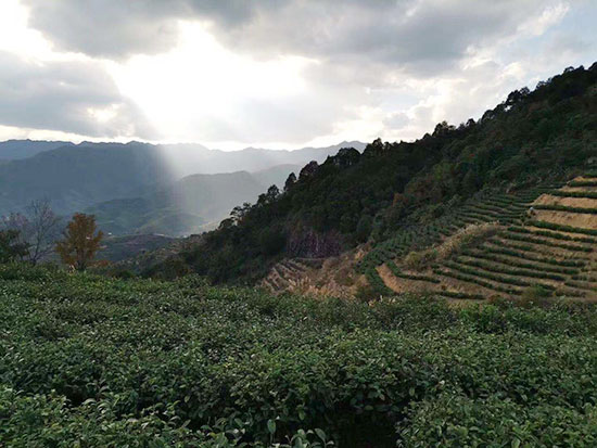 基地风采