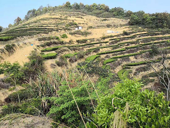 基地风采